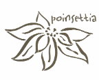 Poinsettia - large