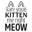 Darice A2 Embossing Folder - Kitten Me Meow